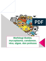 morfologi riketsia,mycoplasma,cendawan,virus,algae,dan protozoa