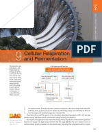 Freeman 6e Ch9 Cell Respiration