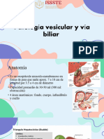 Patología Vesicular y Vía Biliar