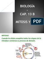 Mitosis y Meiosis