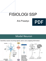 Fisiologi SSP