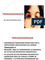 Semana 3T.TRIPANOSOMIASIS(CLASE N°4)