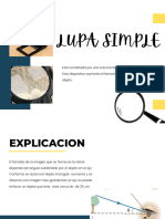 Lupa Simple - 20230921 - 232354 - 0000