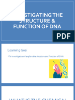 2022 Investigating The Structure & Function of DNA