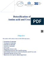 Detoxification of Amino Acid and Urea Cycle