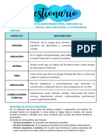 GUIA PRÁCTICA #10SEMANA 5 (Anatomía Huamana)