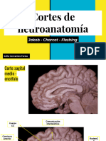 Cortes de Neuroanatomía