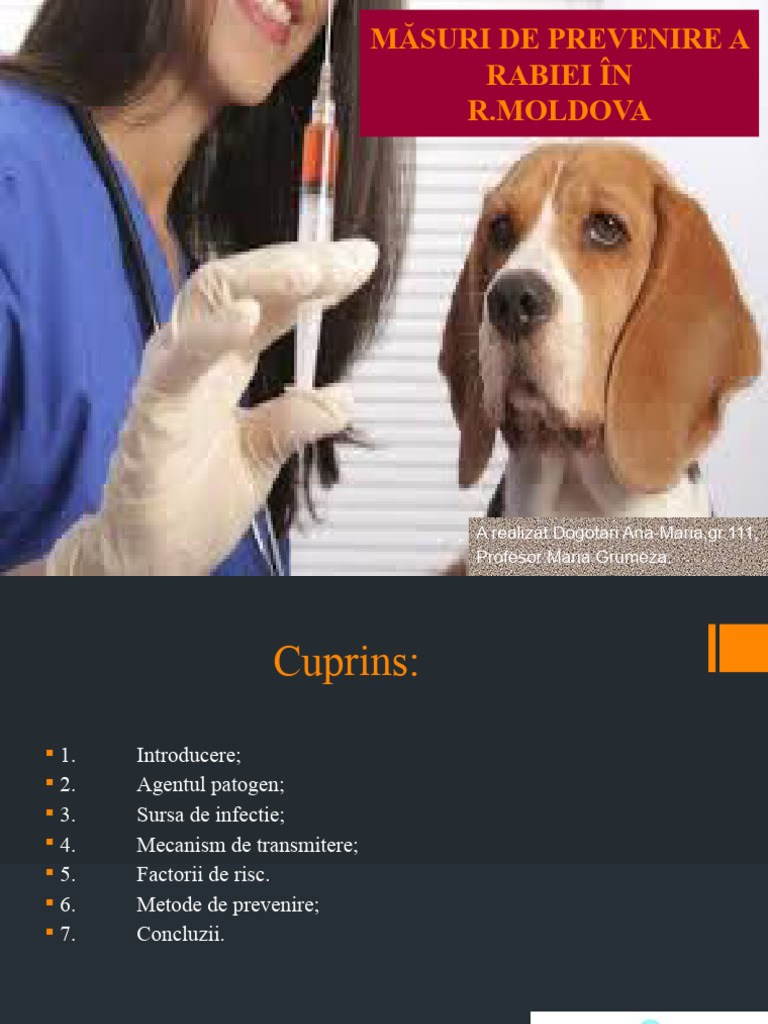 Măsuri de Prevenire A Rabiei În | PDF
