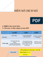 2. PHIÊN MÃ, DỊCH MÃ