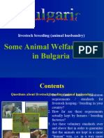 Some Animal Welfare Issues in Bulgaria