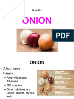 Onion