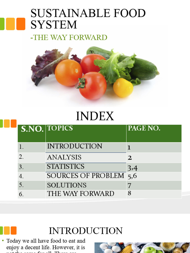 Sustainable Food System PDF Supply Chain Economies