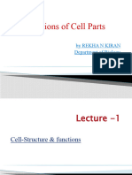 Cell Structure & Functions