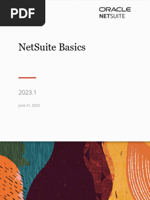 Net Suite Basics