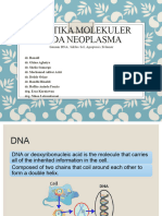 Genetika Molekuler Neoplasma