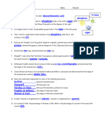 DNA and Replication Worksheet Answers