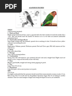 Green Cheek Conure Dilute Mutations | PDF | Aviculture