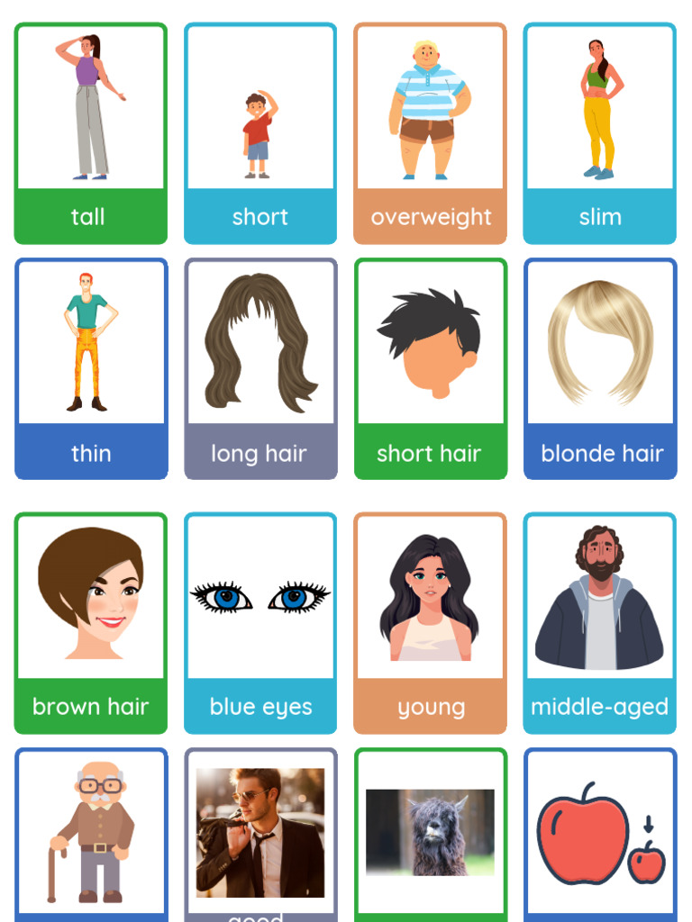 Physical description flashcards pdf