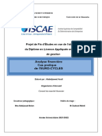 Rapport Pfe Assil