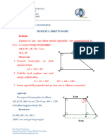 11 Trapezul Dreptunghic Supot Teoretic Si Aplicatii