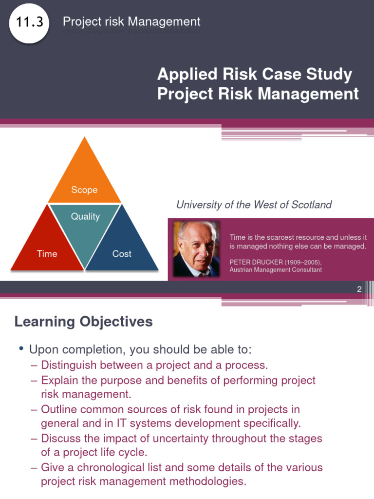 Project Risk Management Guide | PDF | Project Management | Risk