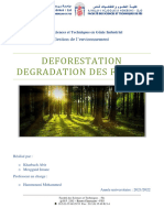 Rapport Deforestation