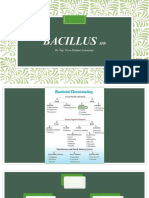 Bacillus Lar
