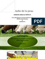 Maladies de La Peau Version 26dec22 Partie II PDF