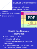 Le Cours Des Bivalves 2021