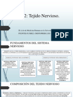 Cap 12 - Tejido Nervioso