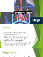 Respiratory System 9