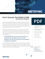 Netsync Cybersecurity