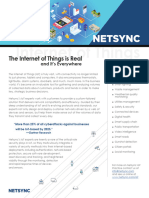 Netsync Internet of Things Collateral