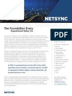 Netsync Enterprise Networking Collateral