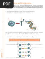 Basic Science Notes | PDF | Potential Energy | Solid