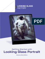 Looking Glass Portrait - Getting Started Guide