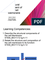 Structural Components of The Cell Membrane