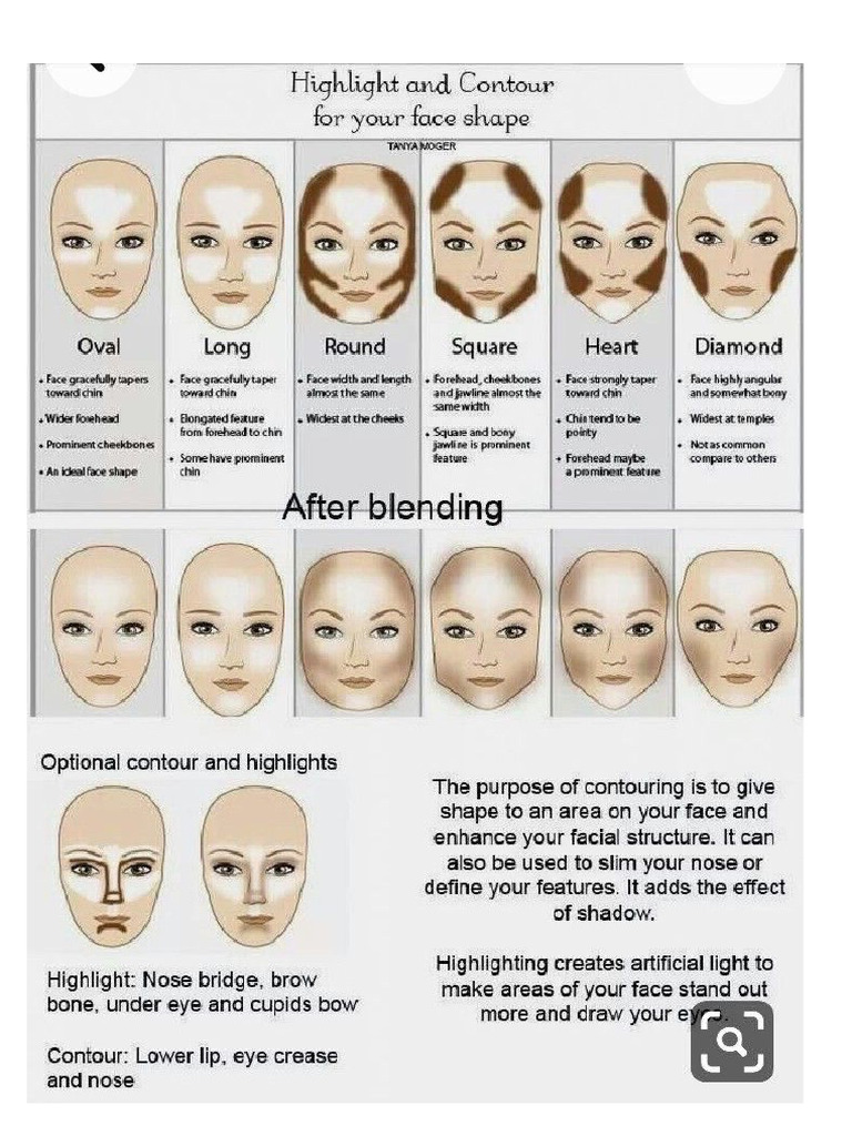 CONTOUR | PDF