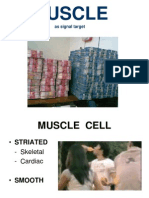 Muscle: As Signal Target