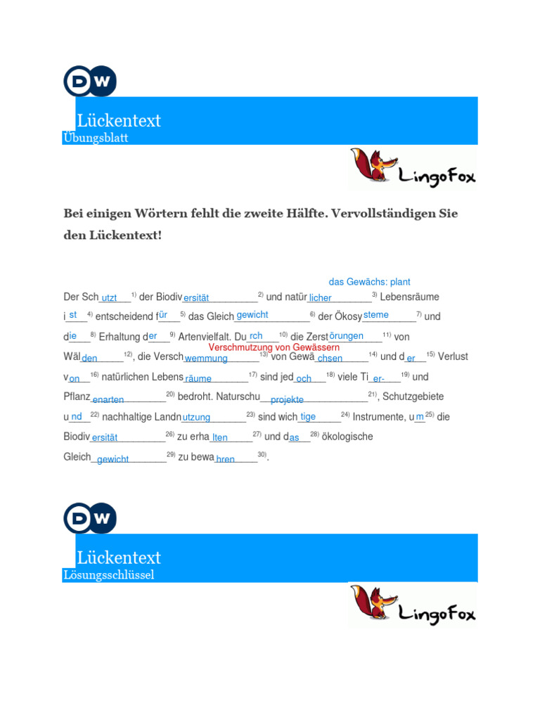 Lückentext | PDF