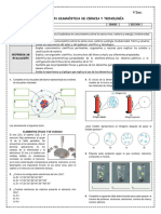 EVALUACIÓN DIAGNÓSTICA DE CyT 4°