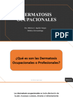Mc2024-Dermatosis Ocupacionales