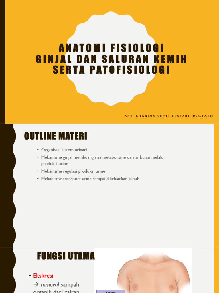 Anatomi Fisiologi Ginjal Saluran Kemih Pdf
