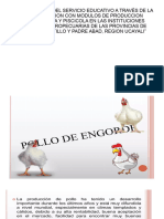 diapositiva pollos de engorde