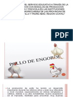 Diapositiva Pollos de Engorde