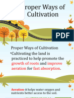 Proper Ways of Cultivation