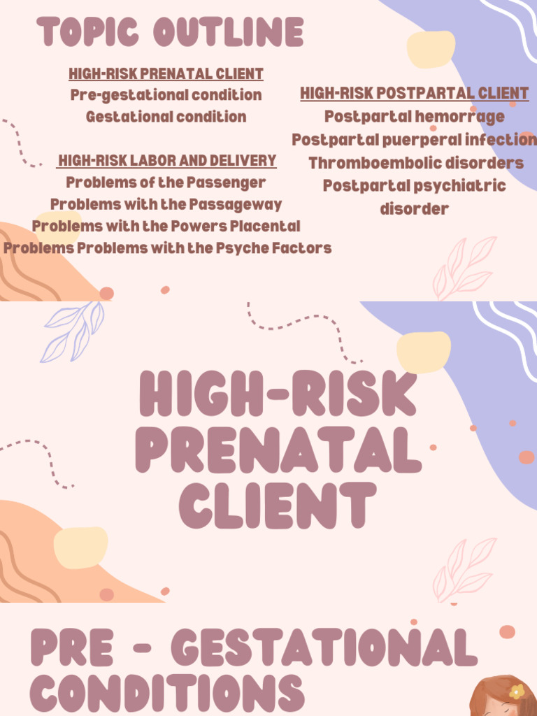 High Risk Prenatal Client | PDF | Postpartum Period | Pregnancy