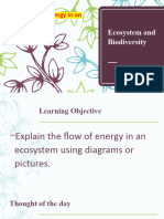 Lesson 8.the Flow of Energy