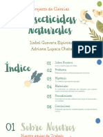 Proyecto de Ciencias 2a - Insecticidas Naturales