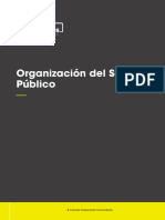 Organizacion Del Sector Publico